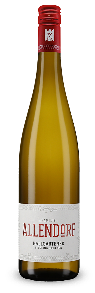 Hallgartener Riesling 2023