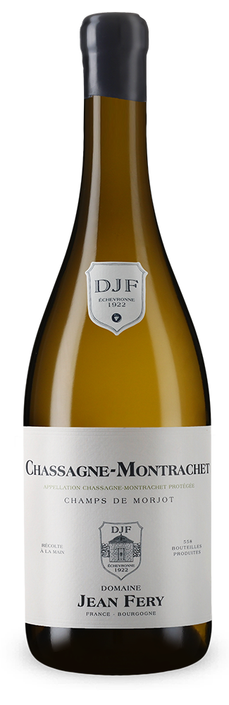 Chassagne-Montrachet Blanc Champs de Morjot 2022