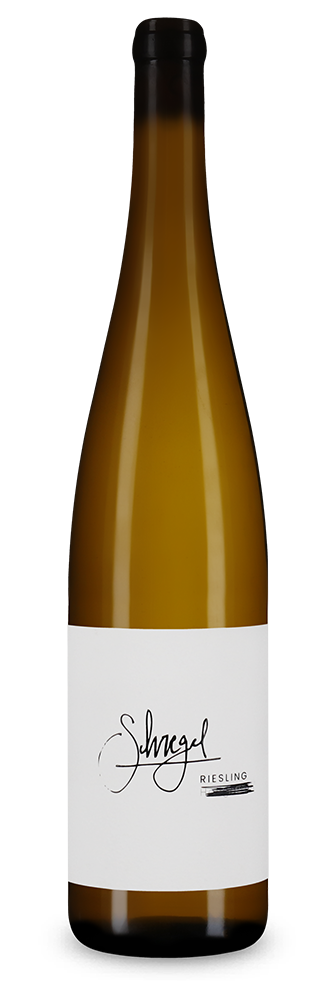 Riesling H. 2023